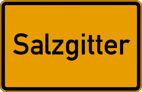 Stellenangebote Busfahrer Salzgitter